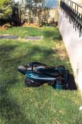 It takes itself off to the charging station to be recharged and then returns to the lawn -full of life!