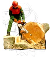 STIHL chainsaws